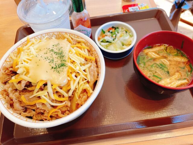 チートデーの牛丼